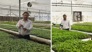झज्जर : पुष्प उत्पादन एवं उत्कृष्टता केंद्र, मुनीमपुर में तैयार की गई पौधे दिखाते डा. सुभाष चंद्र। जागरण