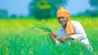 एग्रीस्टैक के तहत 11 करोड़ किसान पहचान पत्र जारी