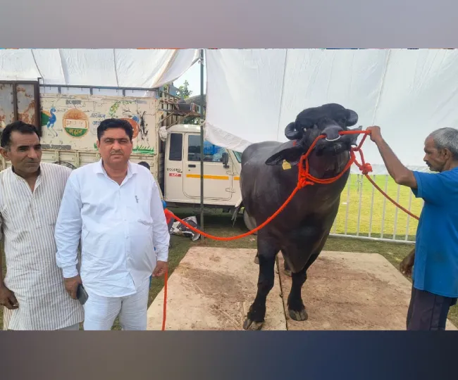 vidhayak_news (1)