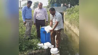 एटा से आ रहा 30 किलो दूषित पनीर जब्त कर नष्ट किया गया।