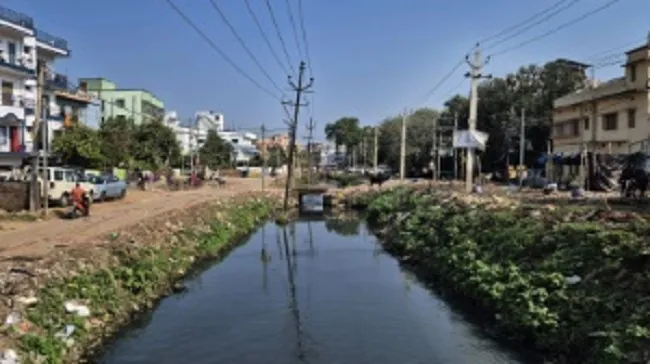 Roads Over Drains