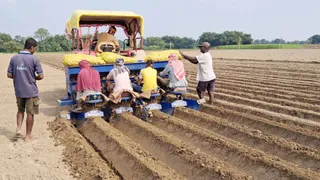 पूर्णिया के रूपौली प्रखंड के खेत में आधुनिक मशीन (पोटैटो प्लांटर) के जरिए आलू की फसल की रोपाई करते किसान
