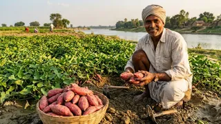 प्रतीकात्मक प्रस्तुतीकरण के लिए तस्वीर को एआई टूल की मदद से बनाया गया है।