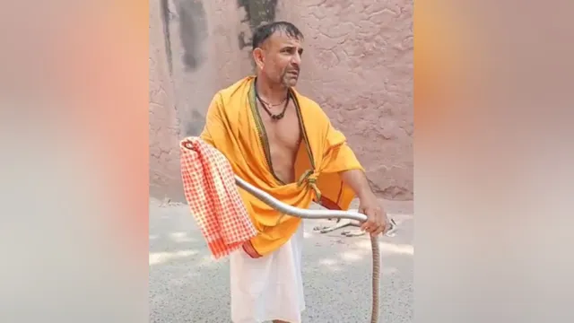 आगरा: ताजमहल के गार्डन में निकला 7 फीट लंबा सांप, पर्यटकों में मचा हड़कंप
