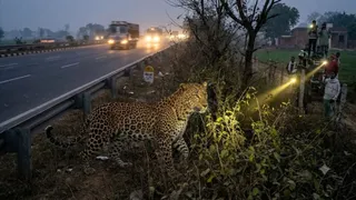 इस फोटो को एआई टूल की मदद से बनाया गया है।