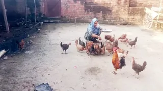 मुर्गी पालन से उम्मतून निशा संवार रहीं 50 परिवारों का भविष्य।