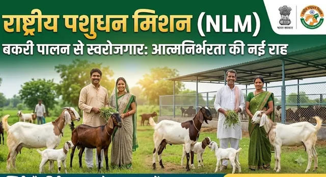 अब बकरी पालन से स्वरोजगार होगा आसान, सरकार 100 बकरियों की यूनिट पर दे रही 50 प्रतिशत सब्सिडी
