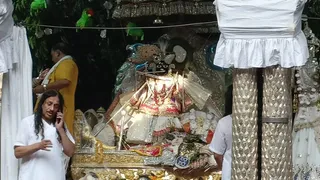 शरद पूर्णिमा पर दर्शन देते ठाकुर बांकेबिहारी।