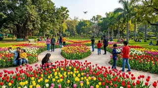 नेहरू पार्क में बनेगा भव्य ट्यूलिप गार्डन ( एआई जेनरेटेज इमेज )