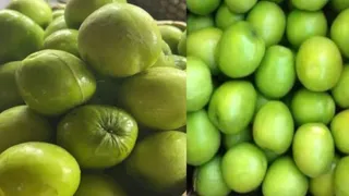 वाराणसी की पहड़िया मंडी में नागपुर के एप्पल बेर की दस्तक, छठ पूजा तक बढ़ेगी मांग।