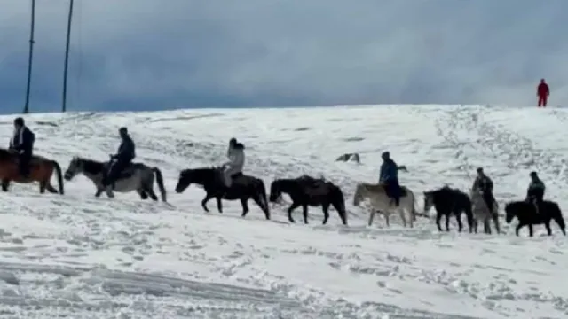 मनाली और रोहतांग में उमड़ा पर्यटकों का सैलाब, मौसम के दीवाने हुए सैलानी; बर्फबारी का लिया आनंद