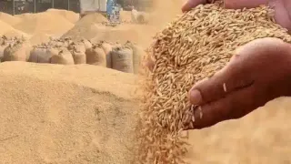 प्रस्तुति के लिए इस्तेमाल की गई तस्वीर। (जागरण)
