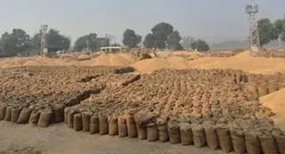 खरीद और उठान प्रभावित होने से किसानों को कई दिन इंतजार करना पड़ रहा। (सांकेतिक फोटो)