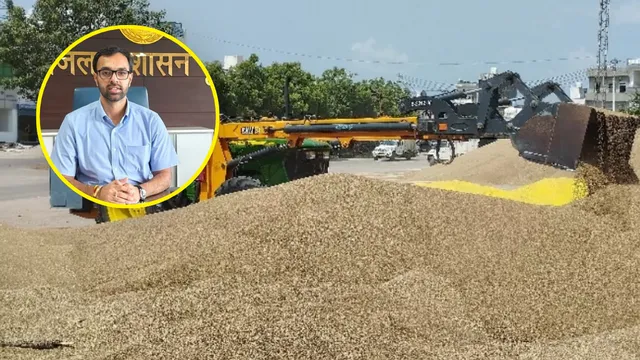 नूंह की मंडियों में बाजरे की बंपर आवक, अब तक 37 हजार मीट्रिक टन से ज्यादा की हुई खरीद
