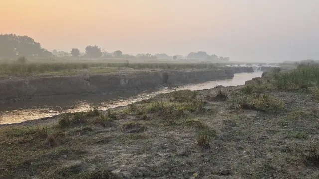 बालू के लालच में जमुई की बरनार नदी का भूगोल तबाह, पाट में उगा कांस का जंगल
