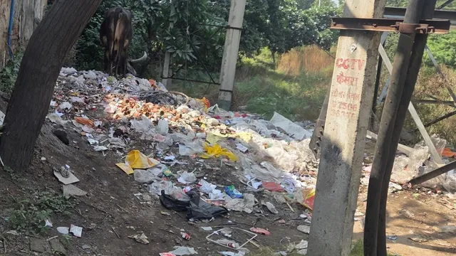 गुरुग्राम: मानेसर वालों की बल्ले-बल्ले, करोड़ों का अंतरिम टेंडर जारी; सफाई व्यवस्था पर होंगे खर्च
