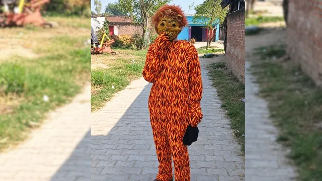 बंदरों के आतंक से निजात पाने का अनोखा जुगाड़, लखीमपुर खीरी में बाघ की ड्रेस पहनकर गलियों में घूमे युवक

