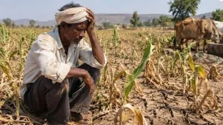राजस्थान के 14 जिले और 80 तहसीलें सूखाग्रस्त घोषित