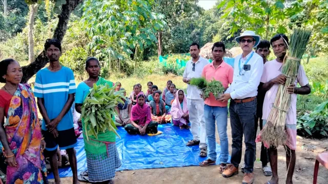 बिहार-झारखंड में औषधीय पौधों की खेती से आदिवासी किसानों की बदलेगी तकदीर, जंगलों से खेतों में लाने के सीख रहे गुर
