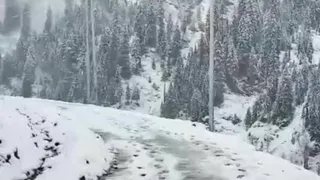 कुपवाड़ा में खराब मौसम में मिलेगी तुरंत मदद, अधिकारियों के नंबर होंगे सार्वजनिक। (फोटो- इंटरनेट मीडिया)
