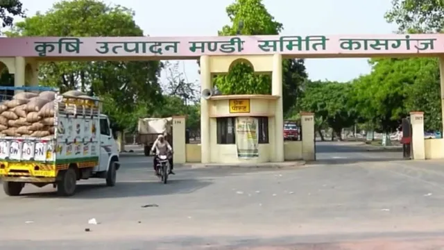 कासगंज: बाजरा के लिए खोले 14 खरीद केंद्र, किसानों को MSP 2900 Rs/क्विंटल मिल रहा भाव
