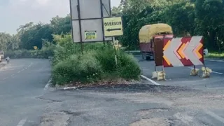 सड़क पर झाड़ियां और खरपतवार फैले हुए हैं।