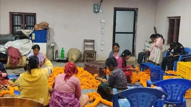 महराजगंज में 45 महिलाएं कर रहीं गेंदा फूल की खेती, दीपावली पर 10 लाख रुपये के फ्लॉवर बेचने का लक्ष्य

