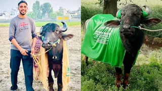 राजा झोटा की फाइल फोटोज।