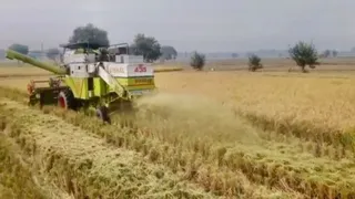 ये प्रतीकात्मक तस्वीर है।
