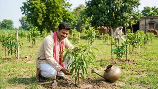 इस फोटो को एआई टूल की मदद से बनाया गया है।