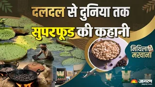 बिहार का मखाना दुनिया में छाया। फोटो जागरण
