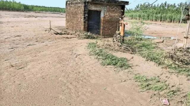 बिहार में बाढ़ की बालू-गाद से हुए नुकसान की होगी भरपाई, 22 जिलों के किसानों को मुआवजा देगी सम्राट सरकार