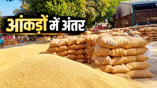 रोजा मंडी समिति में धान का लगा ढेर। जागरण