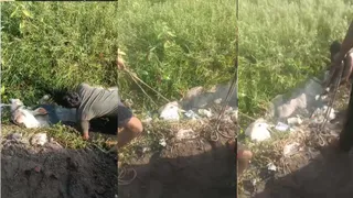हापुड़ के मुदाफरा में ग्रामीणों ने बचाया गोवंश।