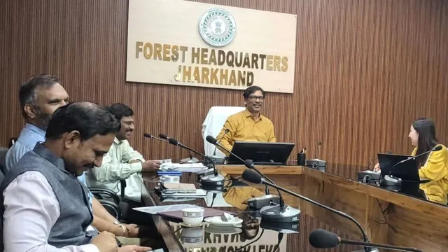 जापान के सहयोग से झारखंड के जंगलों का होगा कायाकल्प, ग्रामीणों की कमाई बढ़ाने के लिए नया प्रोजक्ट