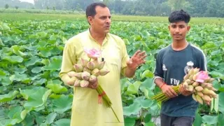 कमल की खेती कर किसान पवन लाखों रुपये कमा रहे।