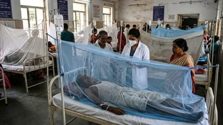 बंगाल में डेंगू का कहर जारी (यह तस्वीर AI की मदद से बनाई गई है।)