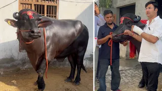 लक्ष्य झोटा की फाइल फोटो