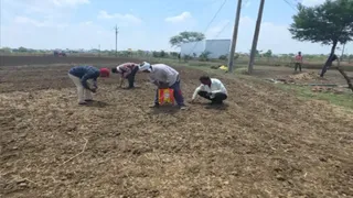 मौसम की चेतावनी से थमे किसानों के कदम
