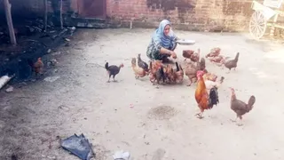 कुक्कुट पालन को रोजगार का माध्यम बनाकर दूसरों के लिए प्रेरणा बनीं उम्मतून निशां