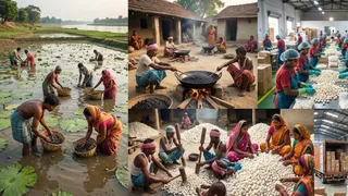 बिहार के कोसी क्षेत्र में मखाना क्रांति (एआई जेनरेटेड तस्वीर)