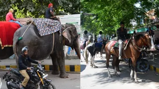 प्रथम वरीयता के मतों में भाजपा प्रत्याशी को बढ़त