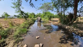 थोरा से दयौरार सेक्टर आठ डी के लिए जाने वाला मार्ग जलभराव, कीचड़ और गंदगी की वजह से सड़क की जगह बना गंदा नाला। जागरण