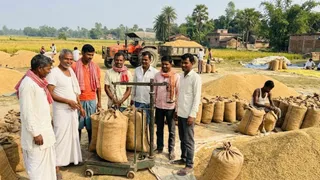 धान के समर्थन मूल्य में ₹72 प्रति क्विंटल की बढ़ोतरी(एआई जेनरेटेड तस्वीर)