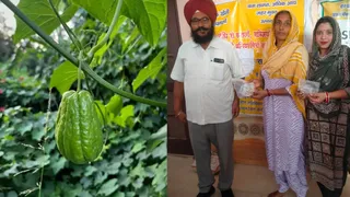 करनाल में 100 गज की जमीन पर महिलाओं ने उगा दीं 11 तरह की सब्जियां (फाइल फोटो)