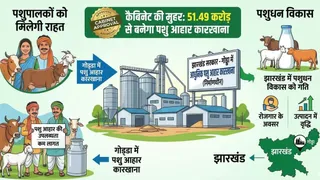 Godda Cattle Feed Plant: गोविंदपुर में 51.49 करोड़ से बनेगा पशु आहार कारखाना।प्रतीकात्मक तस्वीर