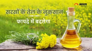 हृदय रोग से बचाएगा पूसा मस्टर्ड पीएम-2 बीज, काशी के किसानों को मिलेगा लाभ।