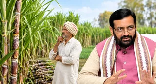 सीएम नायब सिंह सैनी ने की गन्ने के रेट बढ़ाने की घोषणा। (एआई जनरेटेड फोटो)