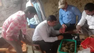 अब बिहार के खेतों में भी उगेंगे मोती, किसान ने यूट्यूब से सीखी खेती; सालाना ₹200000 की कमाई