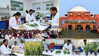 BAU Sabour 32nd Rabi Research Council Meeting: बीएयू सबौर में 32वीं रबी अनुसंधान परिषद आज से